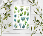 Seaweed Sticker Sheet