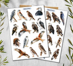 Birds of Pray Stickers (00380)