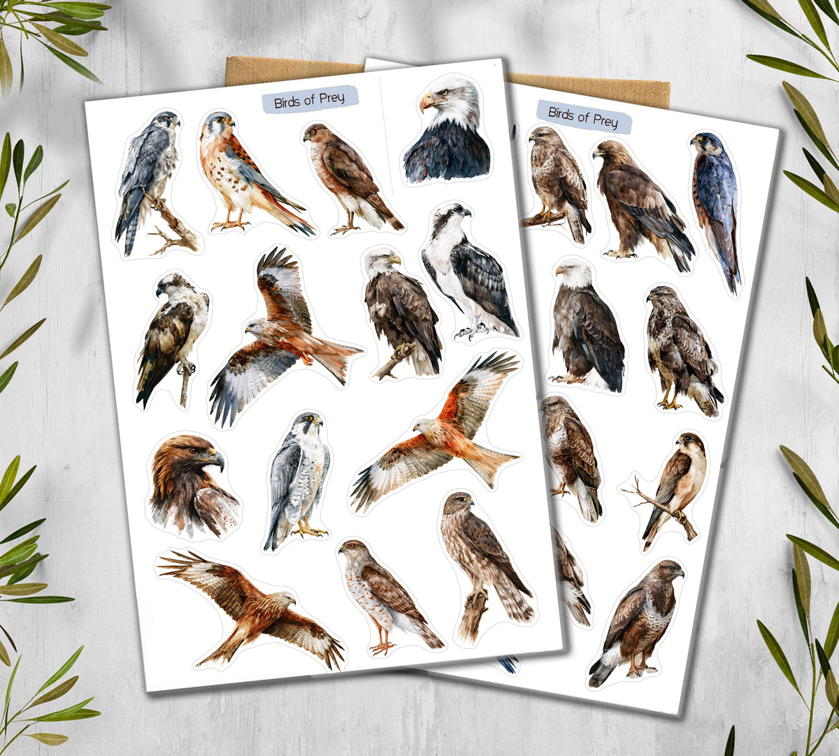 Birds of Pray Stickers (00380)