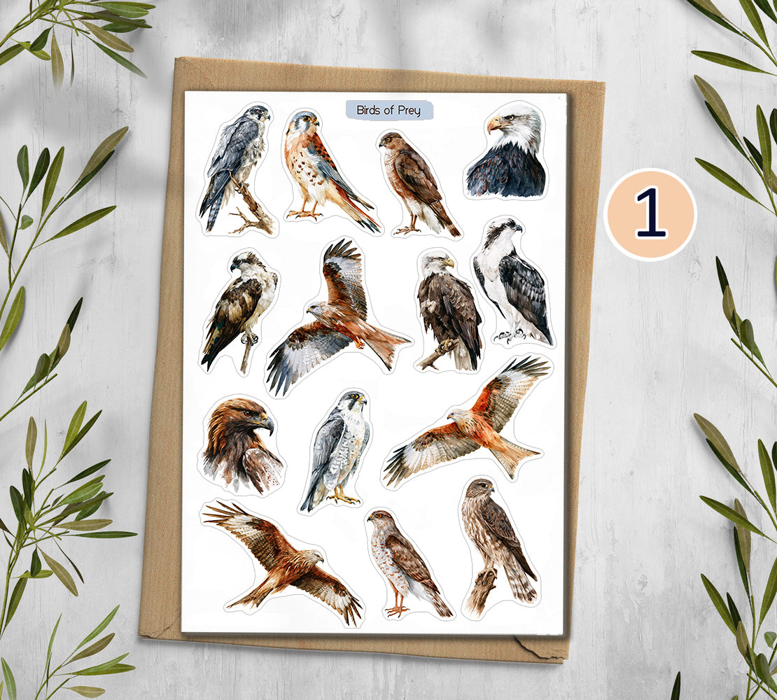 Birds of Pray Stickers (00380)