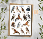Birds of Pray Stickers (00380)