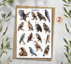 Birds of Pray Stickers (00380)
