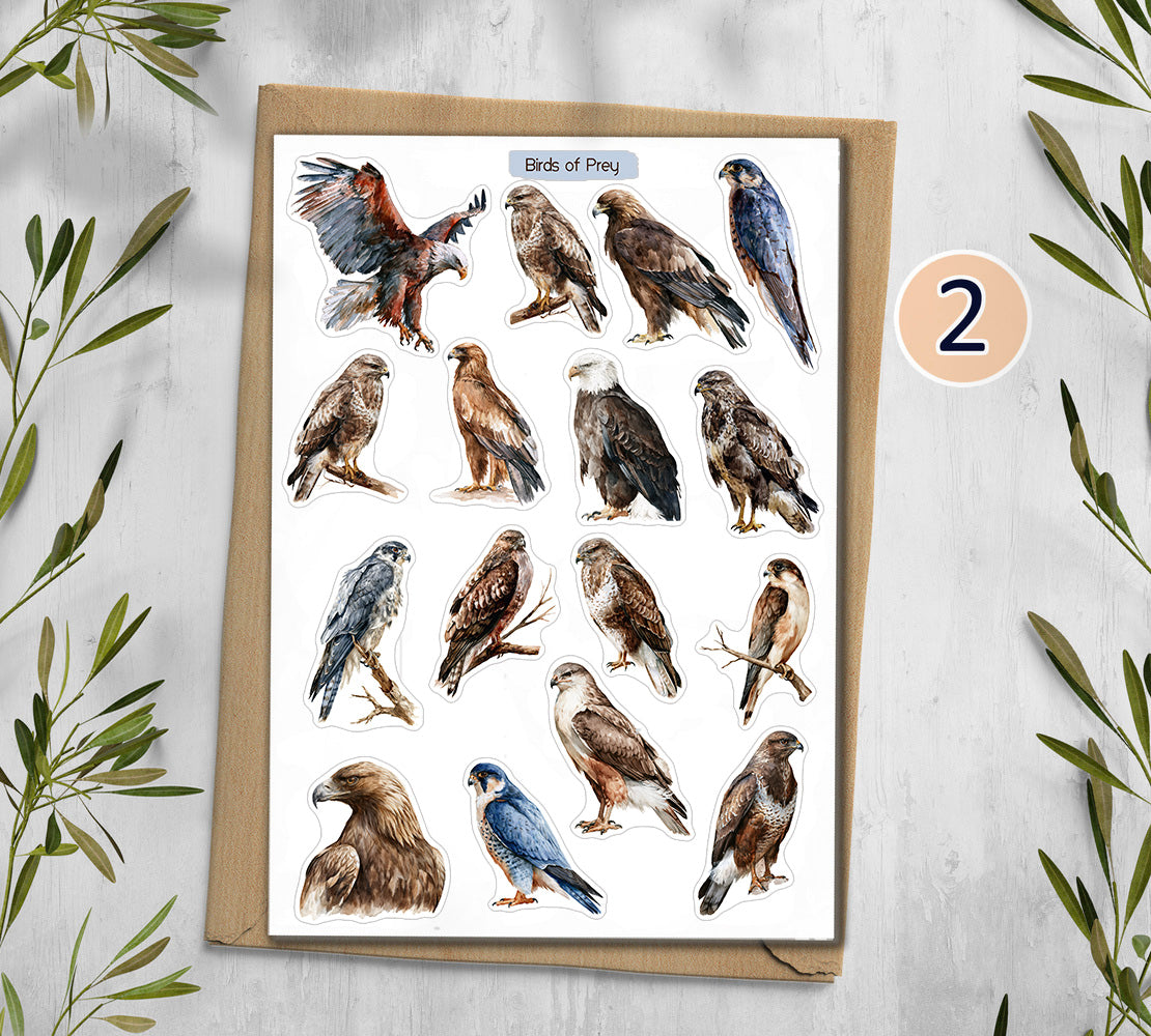 Birds of Pray Stickers (00380)