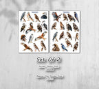 Birds of Pray Stickers (00380)