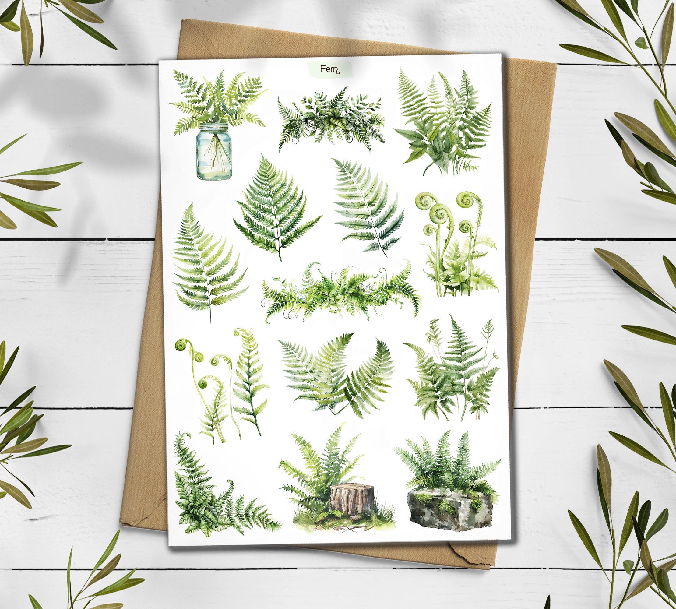 Fern Stickers: Botanical Greenery Scrapbooking Stickers