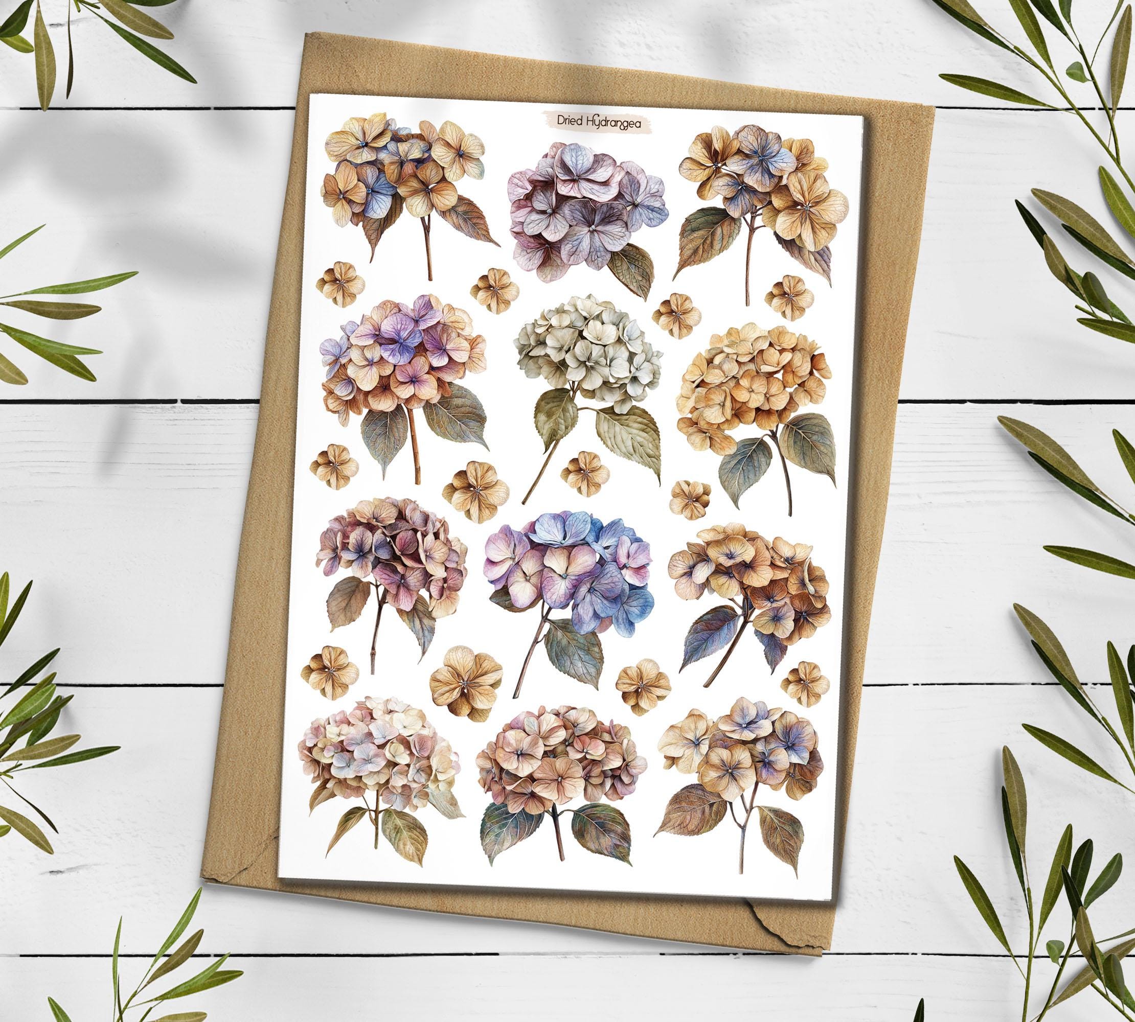 Hydrangea Stickers: Dried Flower Scrapbooking, Planner Decals
