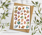 Seashell Sticker Sheet