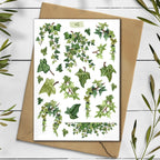 Ivy Stickers