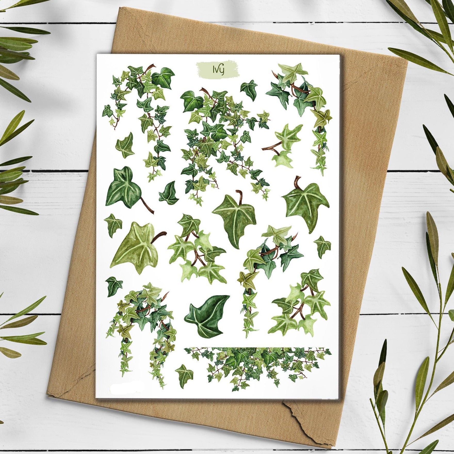 Ivy Stickers