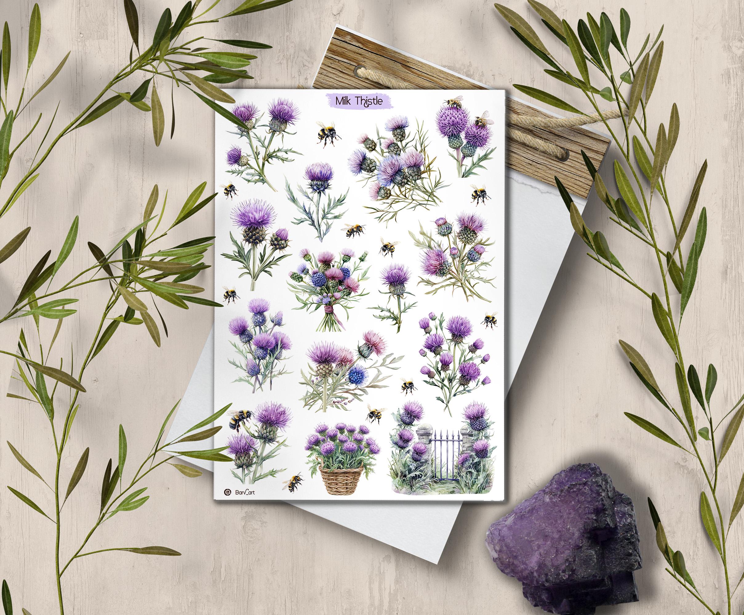 Thistle Stickers. Milk Thistle Flowers Sticker. Wildflowers Sticker Sheet. Scotland stickers. Transparent Milk Thistle Stickers