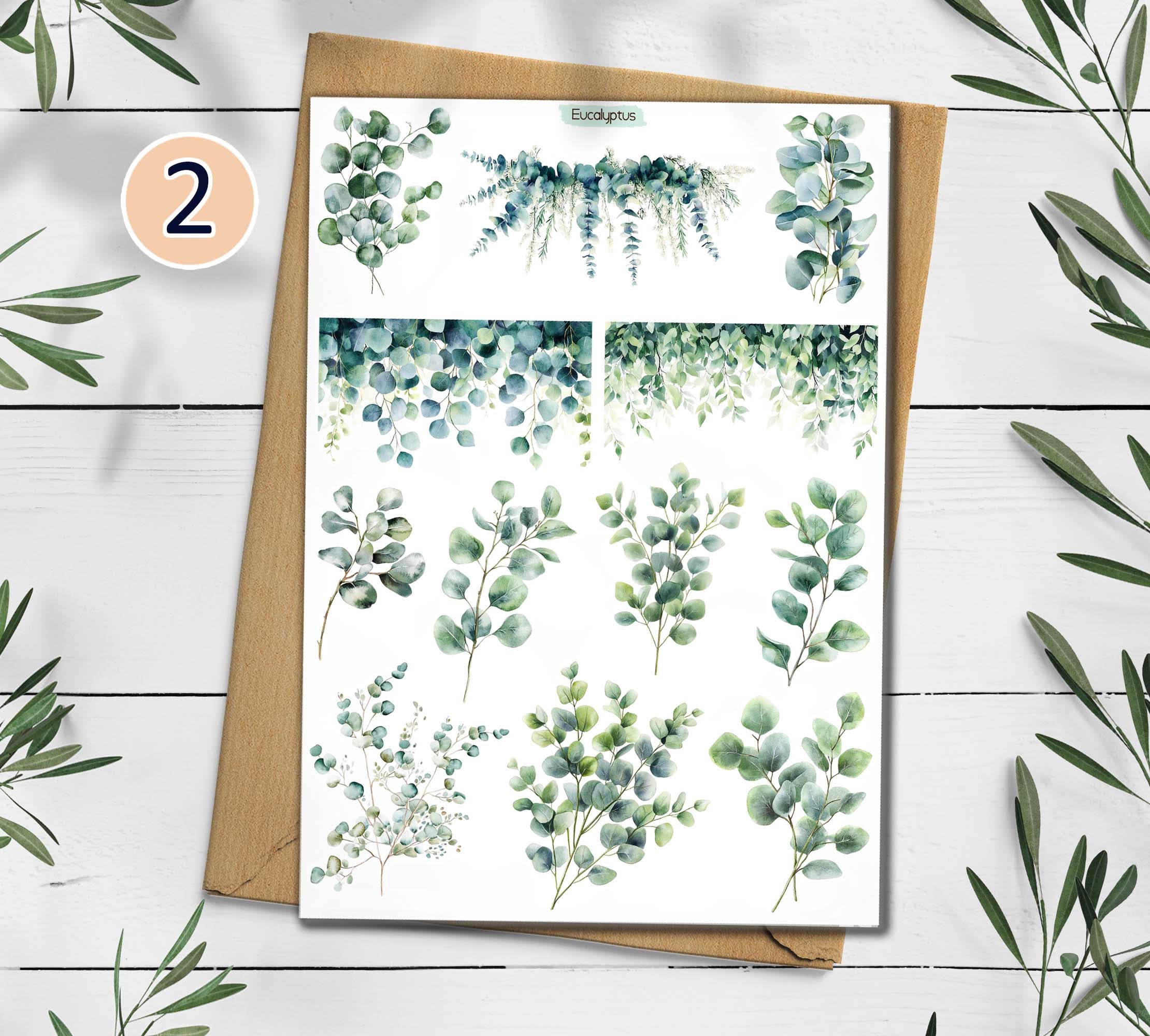 Eucalyptus Stickers 00046