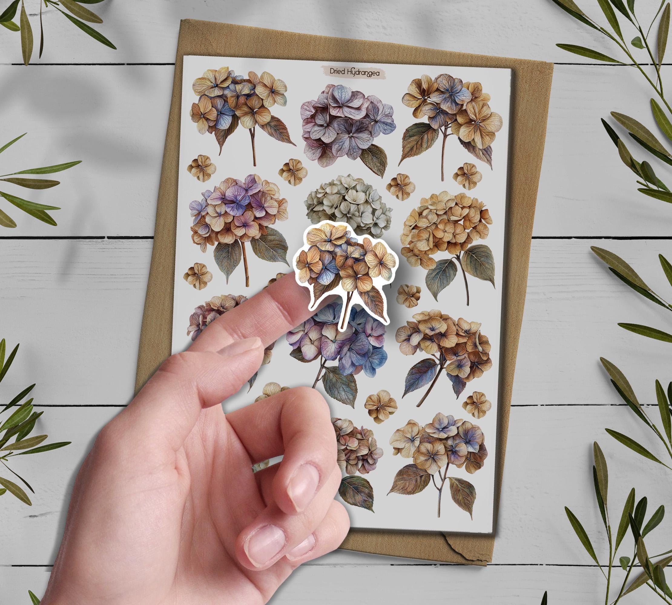 Hydrangea Stickers: Dried Flower Scrapbooking, Planner Decals