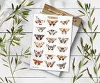 Luna Moth Sticker Sheet: Rainbow Insect Decals for Journaling