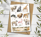 Safari Animal Stickers
