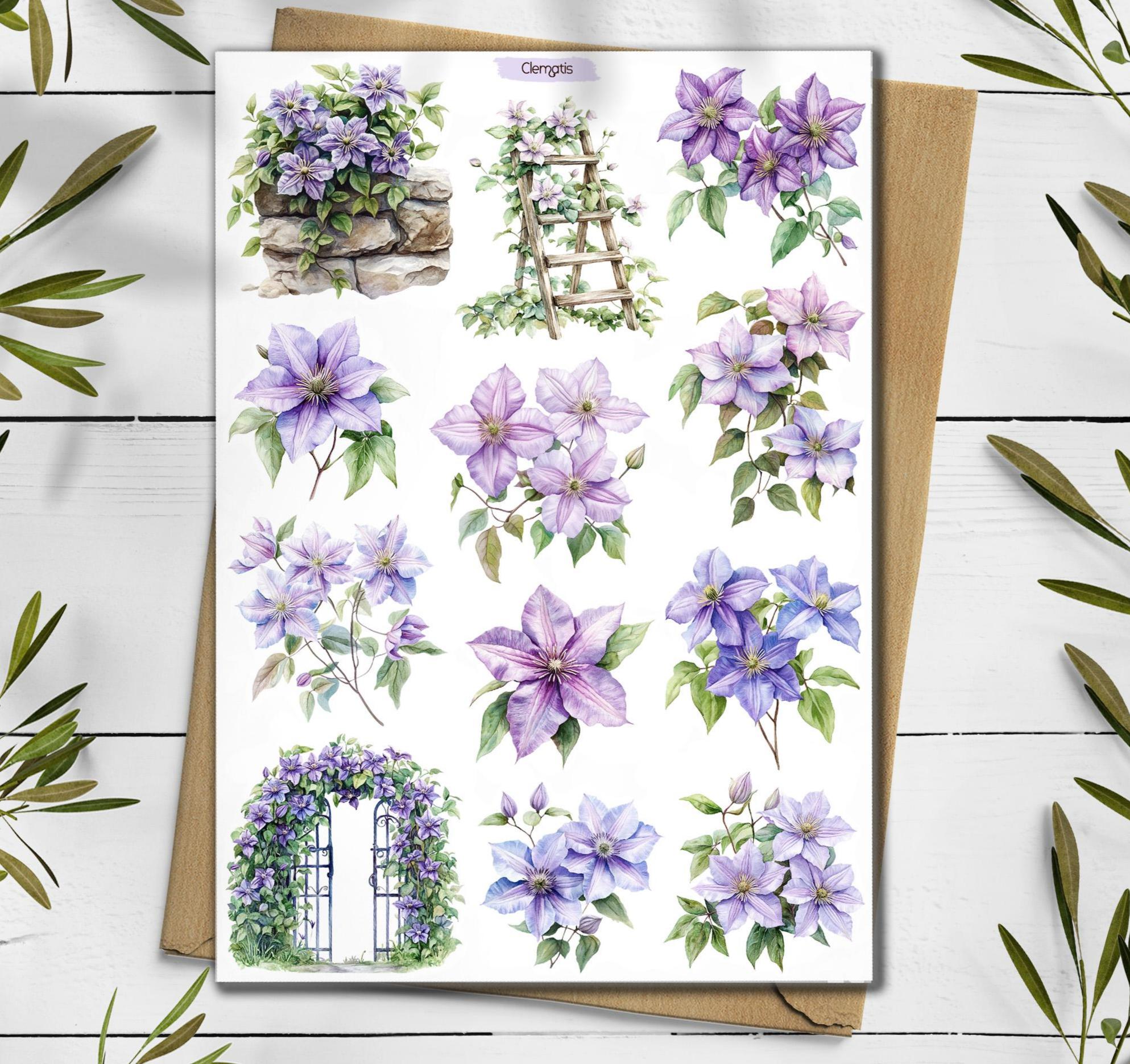 Clematis Stickers. Clematis Flowers Sticker. Wildflowers Sticker Pack. June Summer Stickers. Clematis Flowers. Bullet Journal, Scrapbooking