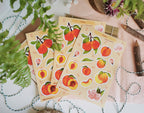 Peach Stickers. Peach Sticker Pack. Peach tree Stickers. Bullet Journal. Peach Sticker Sheet. Fruit Stickers. Summer Stickers