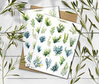 Seaweed Sticker Sheet
