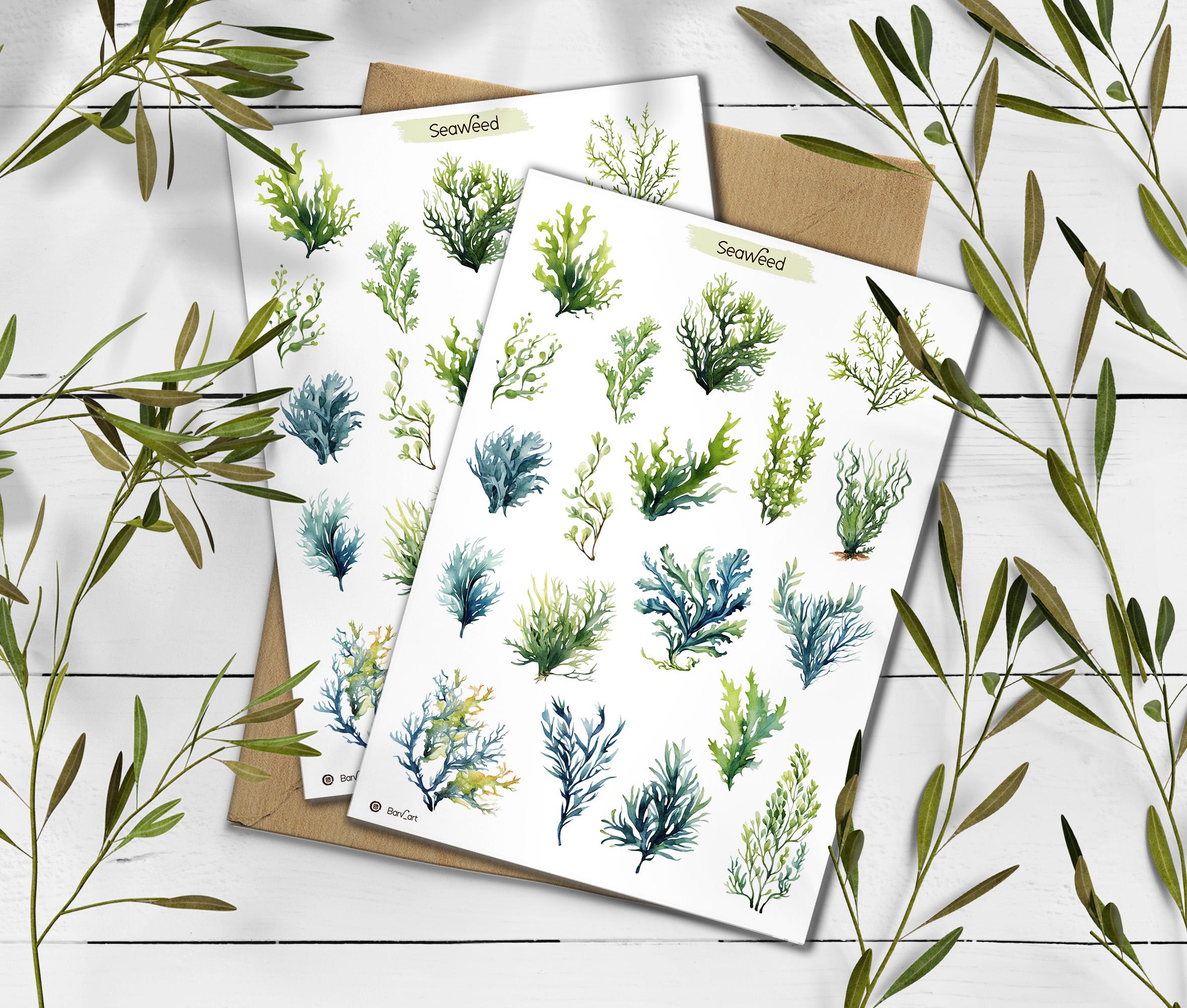 Seaweed Sticker Sheet