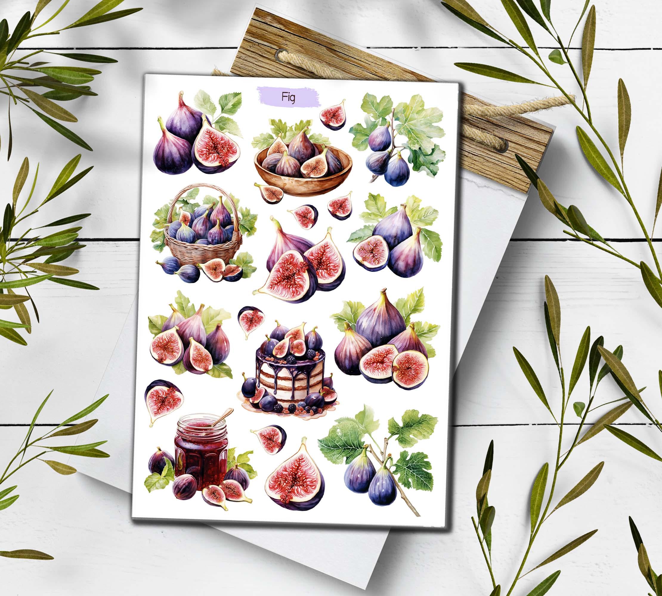 Fig Sticker Sheet: Summer Fruit Stickers for Journaling