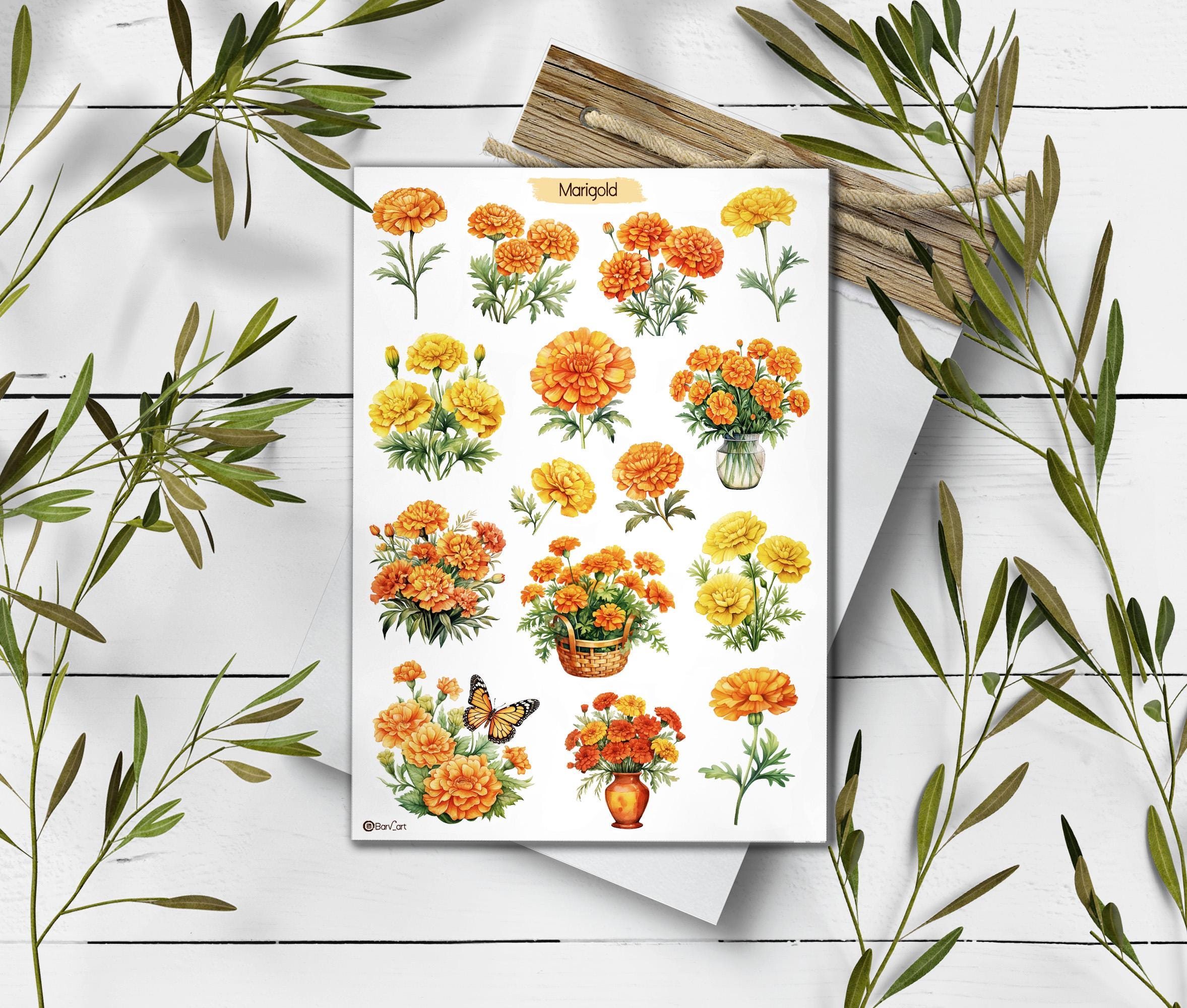 Marigold Stickers. Marigold Flowers Sticker. Wildflowers Sticker Pack. Autumn sticker. Transparent Marigold Sticker. Bullet Journal