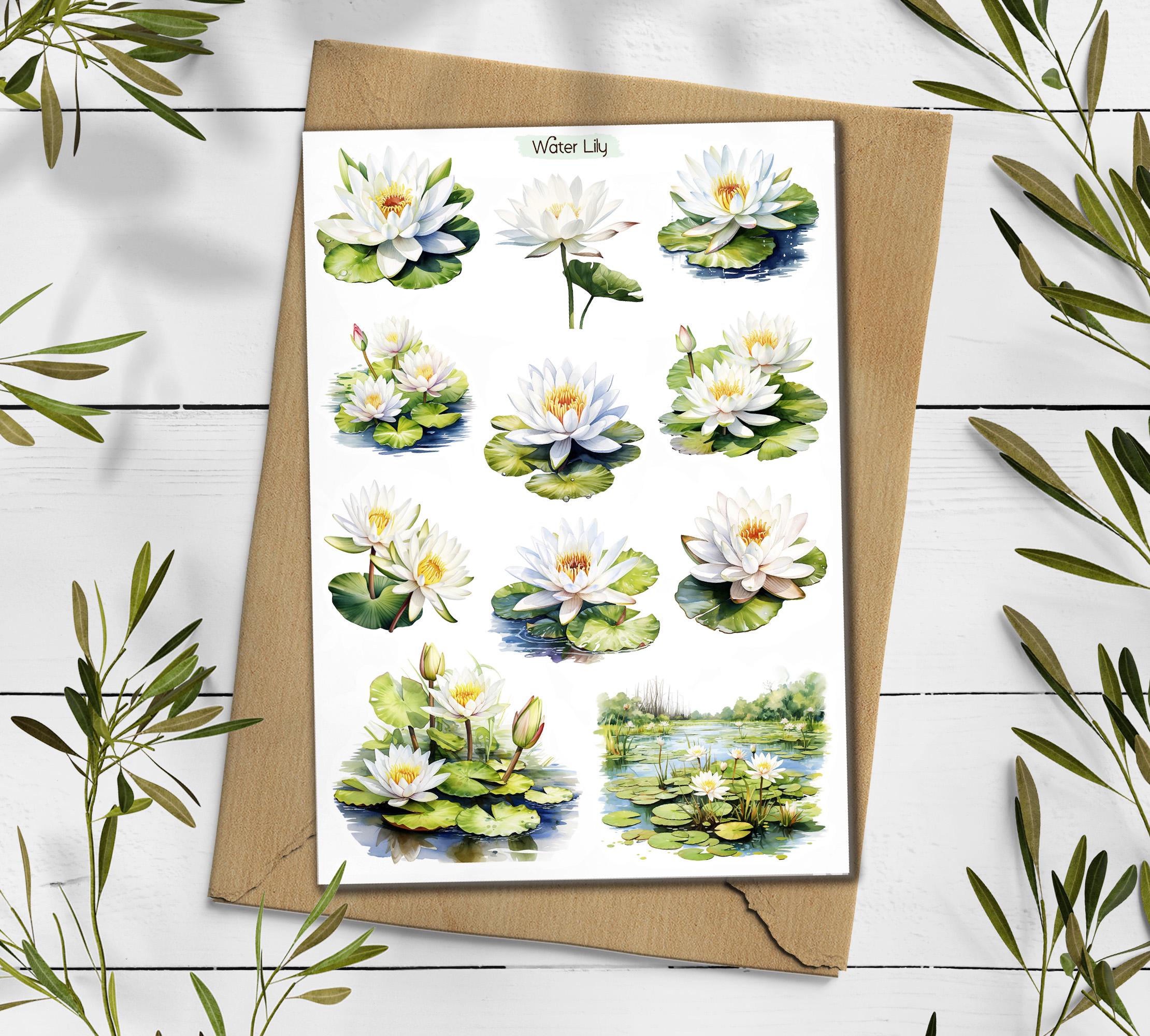 Water Lily Stickers: Lotus Flower, Planner Stickers