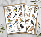 British Garden Birds Stickers