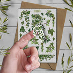 Ivy Stickers