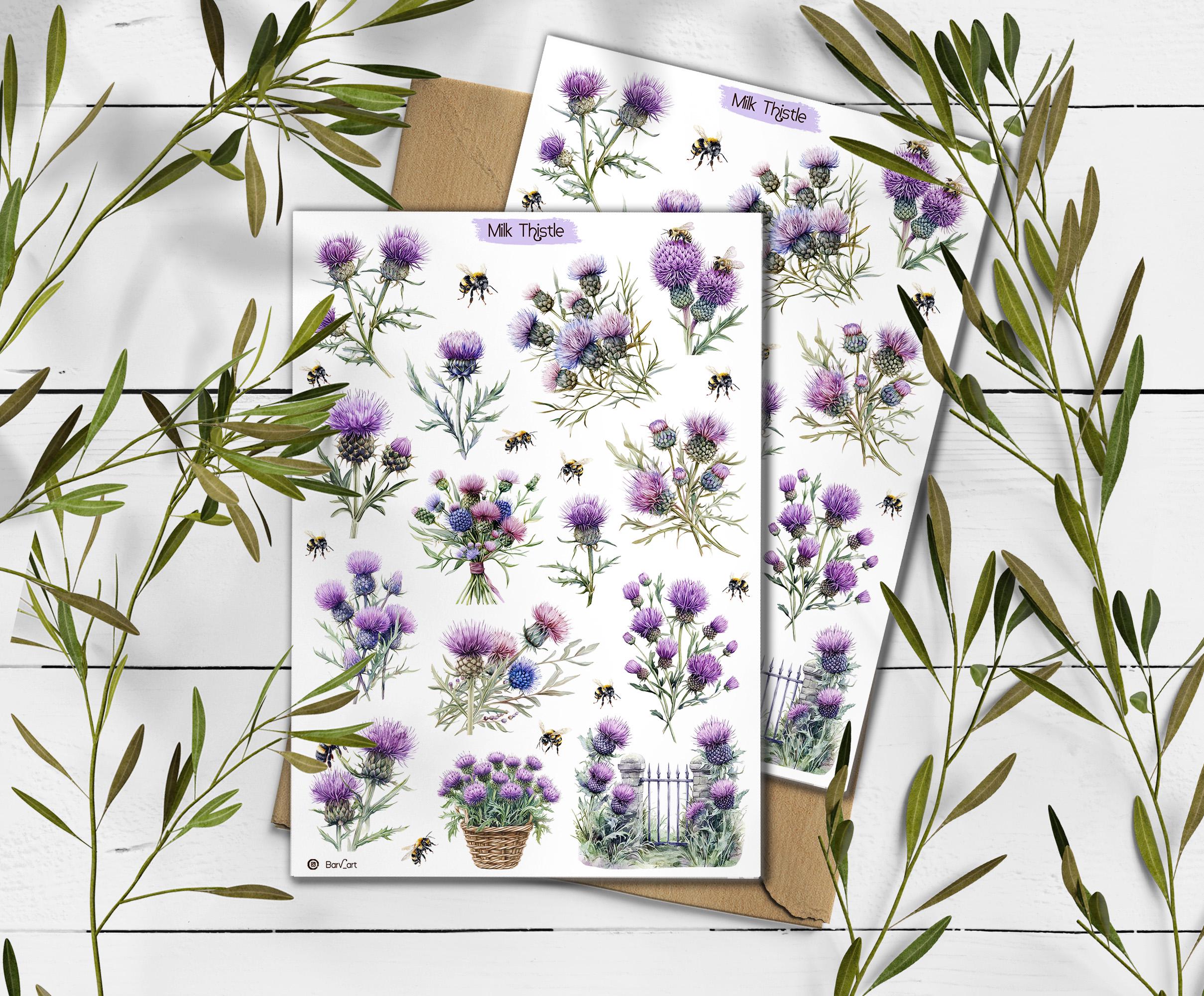 Thistle Stickers. Milk Thistle Flowers Sticker. Wildflowers Sticker Sheet. Scotland stickers. Transparent Milk Thistle Stickers