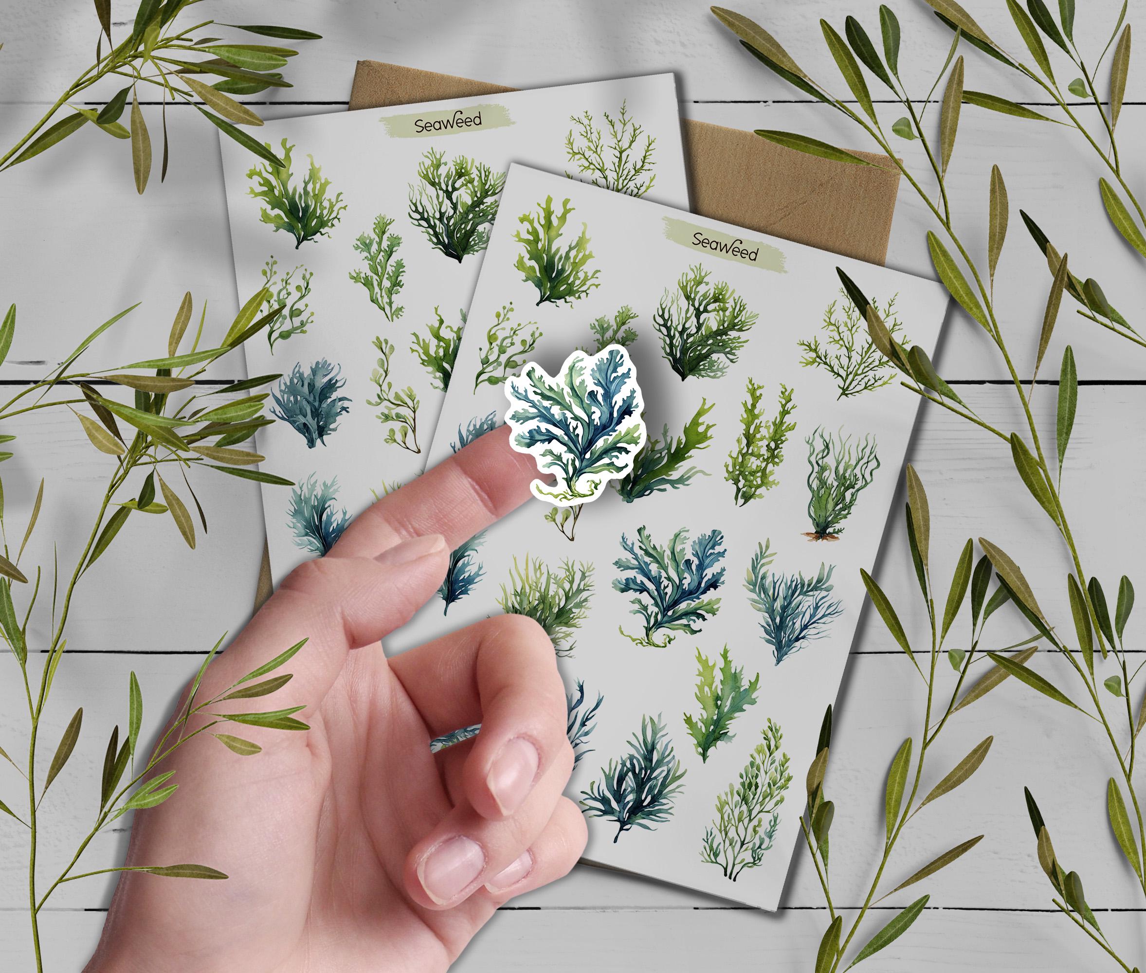 Seaweed Sticker Sheet