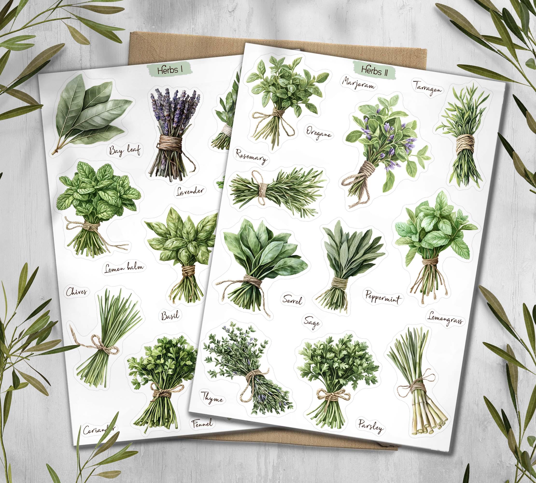Herbs Cottagecore Stickers