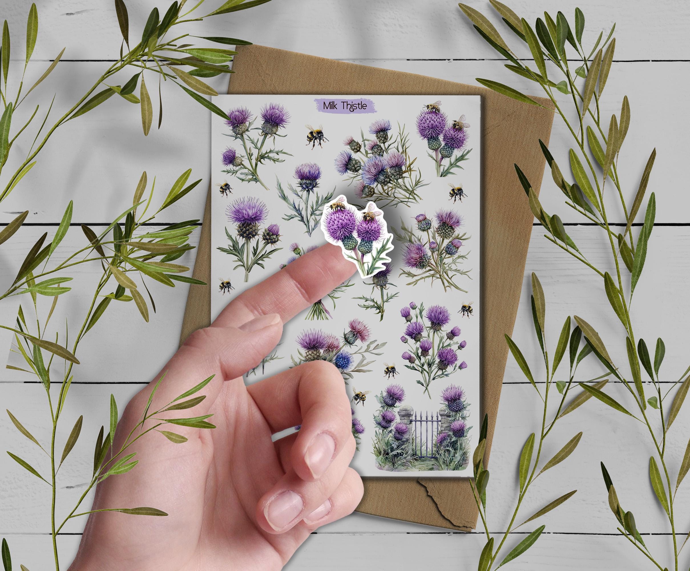 Thistle Stickers. Milk Thistle Flowers Sticker. Wildflowers Sticker Sheet. Scotland stickers. Transparent Milk Thistle Stickers