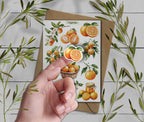 Tangerine Sticker Sheet: Summer Citrus Planner Stickers