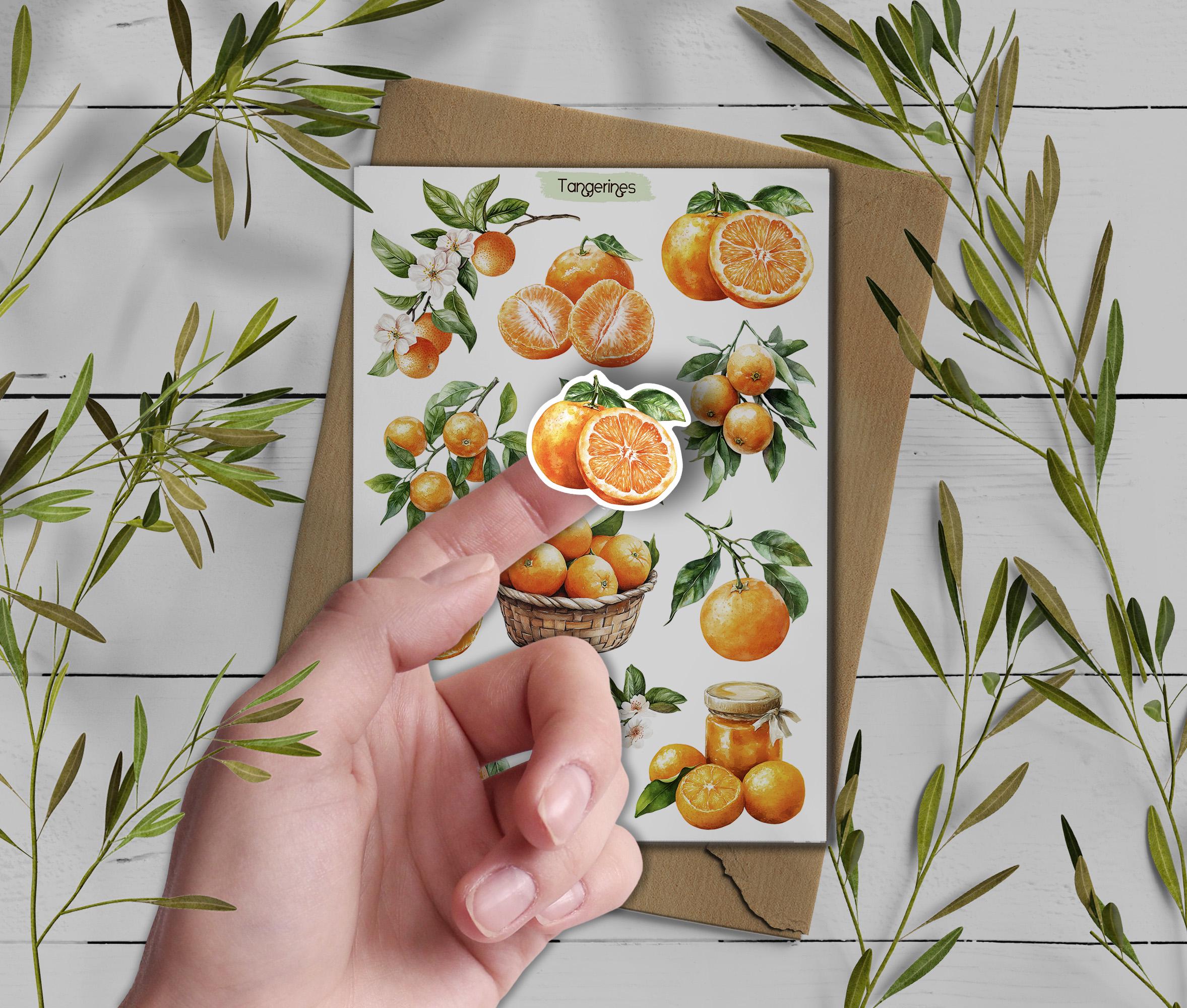 Tangerine Sticker Sheet: Summer Citrus Planner Stickers