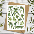 Ivy Stickers