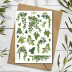 Ivy Stickers