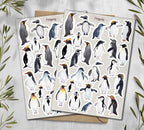 Penguin Stickers