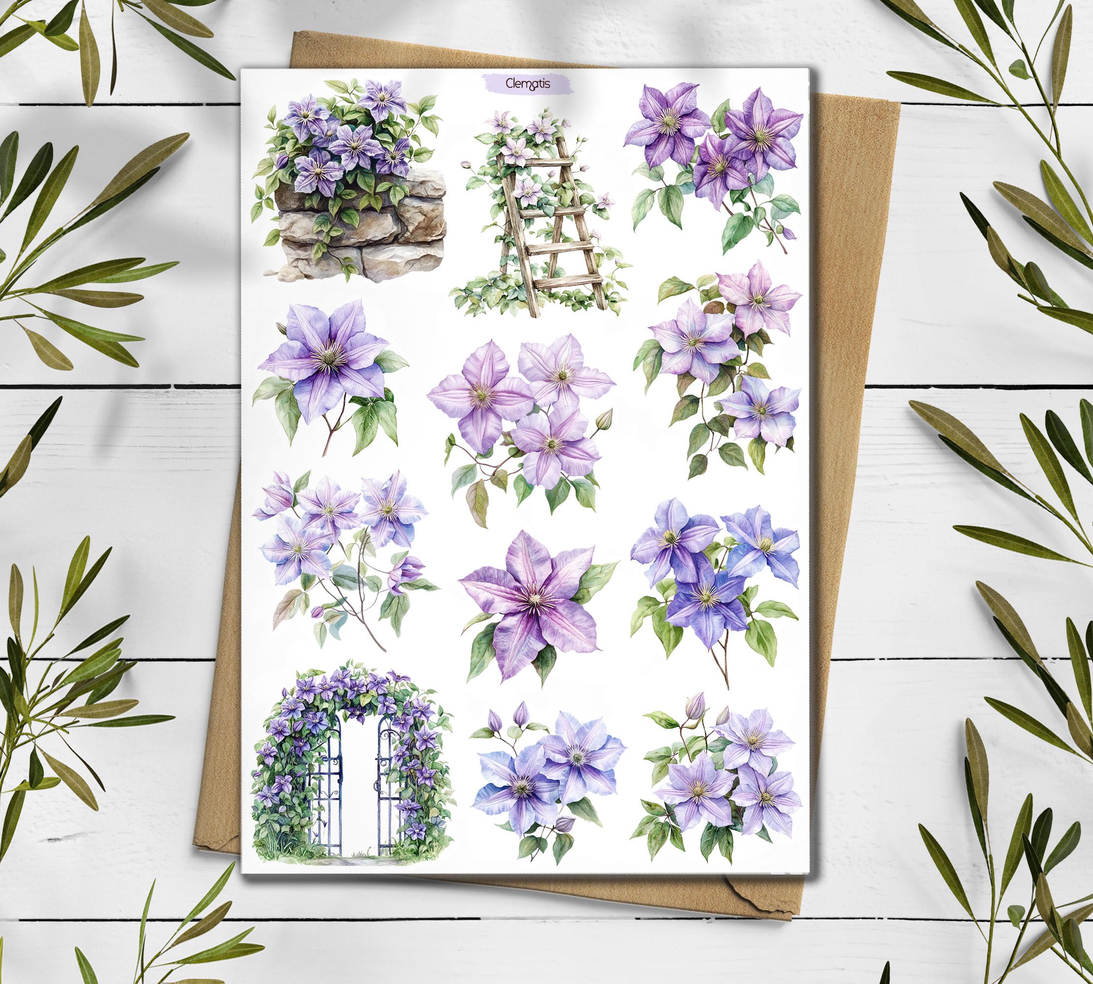 Clematis Stickers. Clematis Flowers Sticker. Wildflowers Sticker Pack. June Summer Stickers. Clematis Flowers. Bullet Journal, Scrapbooking
