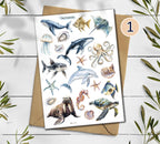 Sea Animals Stickers