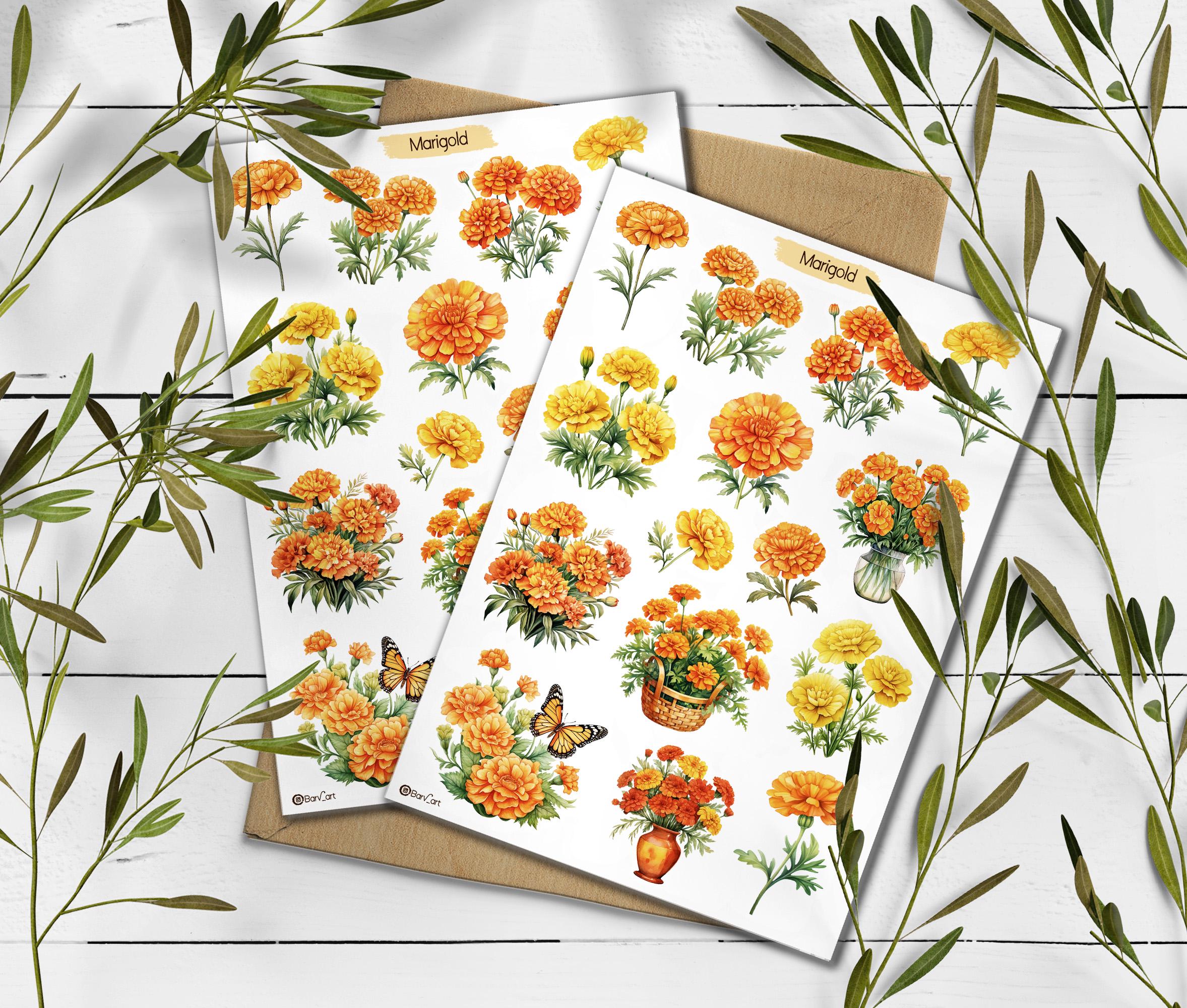 Marigold Stickers. Marigold Flowers Sticker. Wildflowers Sticker Pack. Autumn sticker. Transparent Marigold Sticker. Bullet Journal