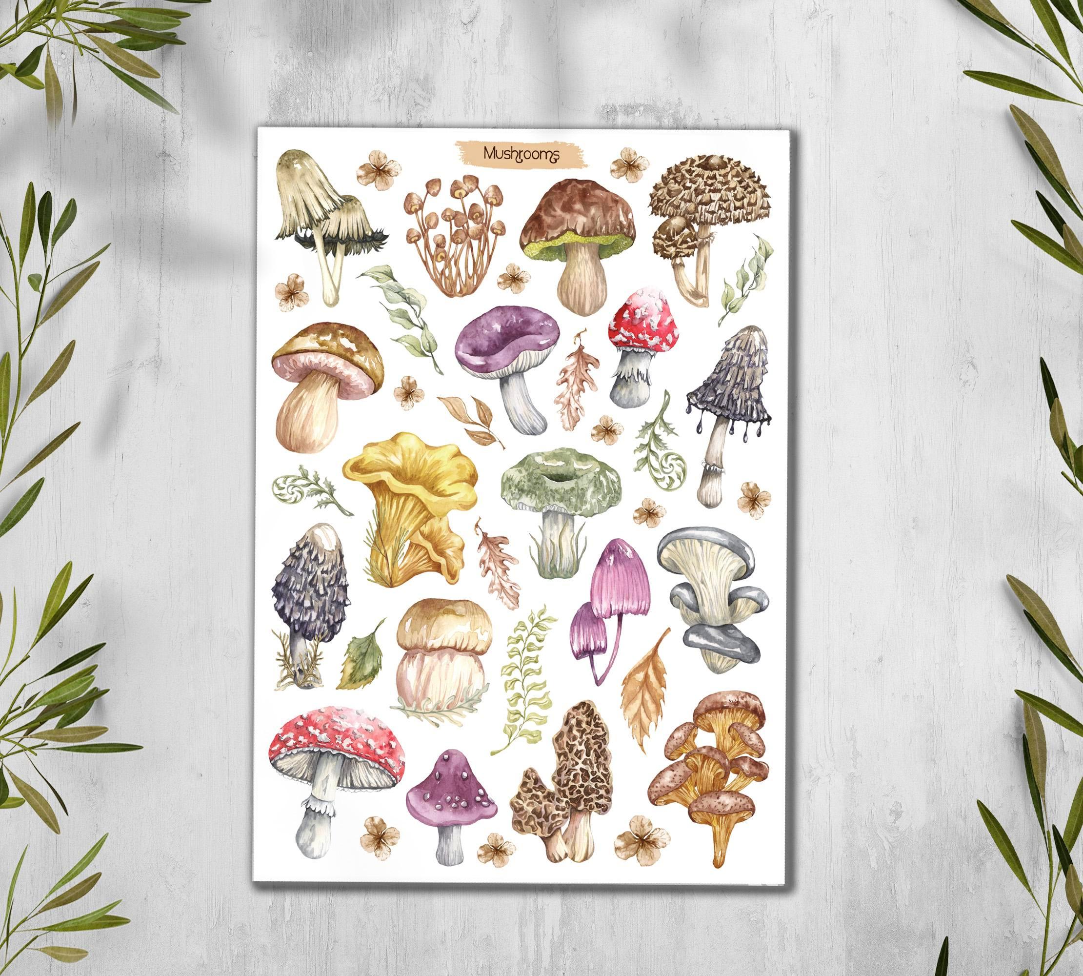Mushroom Sticker Sheet. Autumn Foraging, Woodland Fungi Stickers. Scrapbooking, Planner Stickers