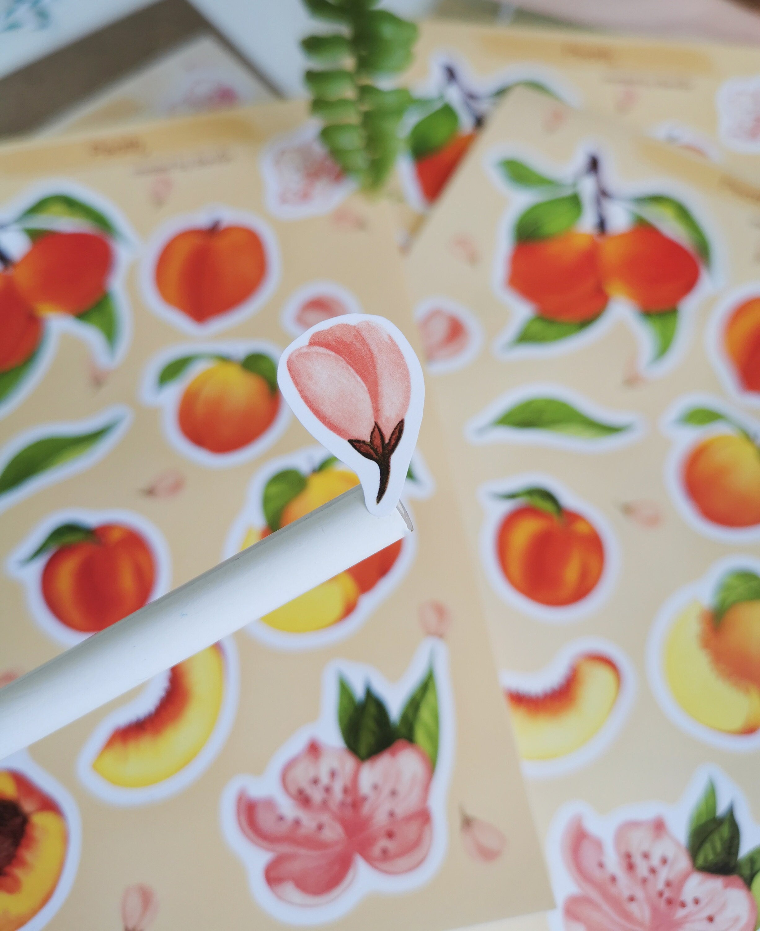Peach Stickers. Peach Sticker Pack. Peach tree Stickers. Bullet Journal. Peach Sticker Sheet. Fruit Stickers. Summer Stickers