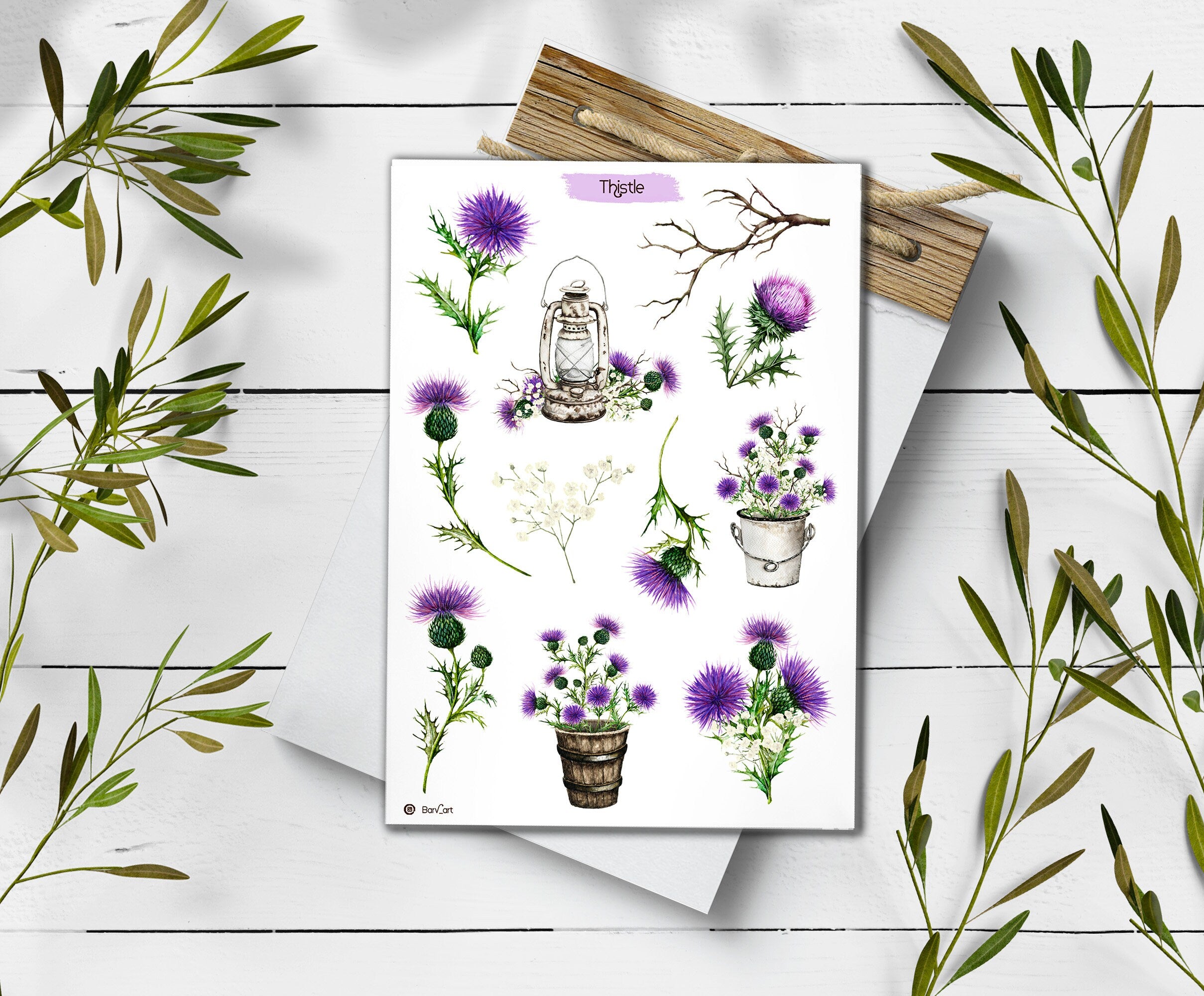 Thistle Stickers. Thistle Flowers Sticker. Wildflowers Sticker Pack. Scotland sticker. Transparent Milk Thistle Sticker. Bullet Journal