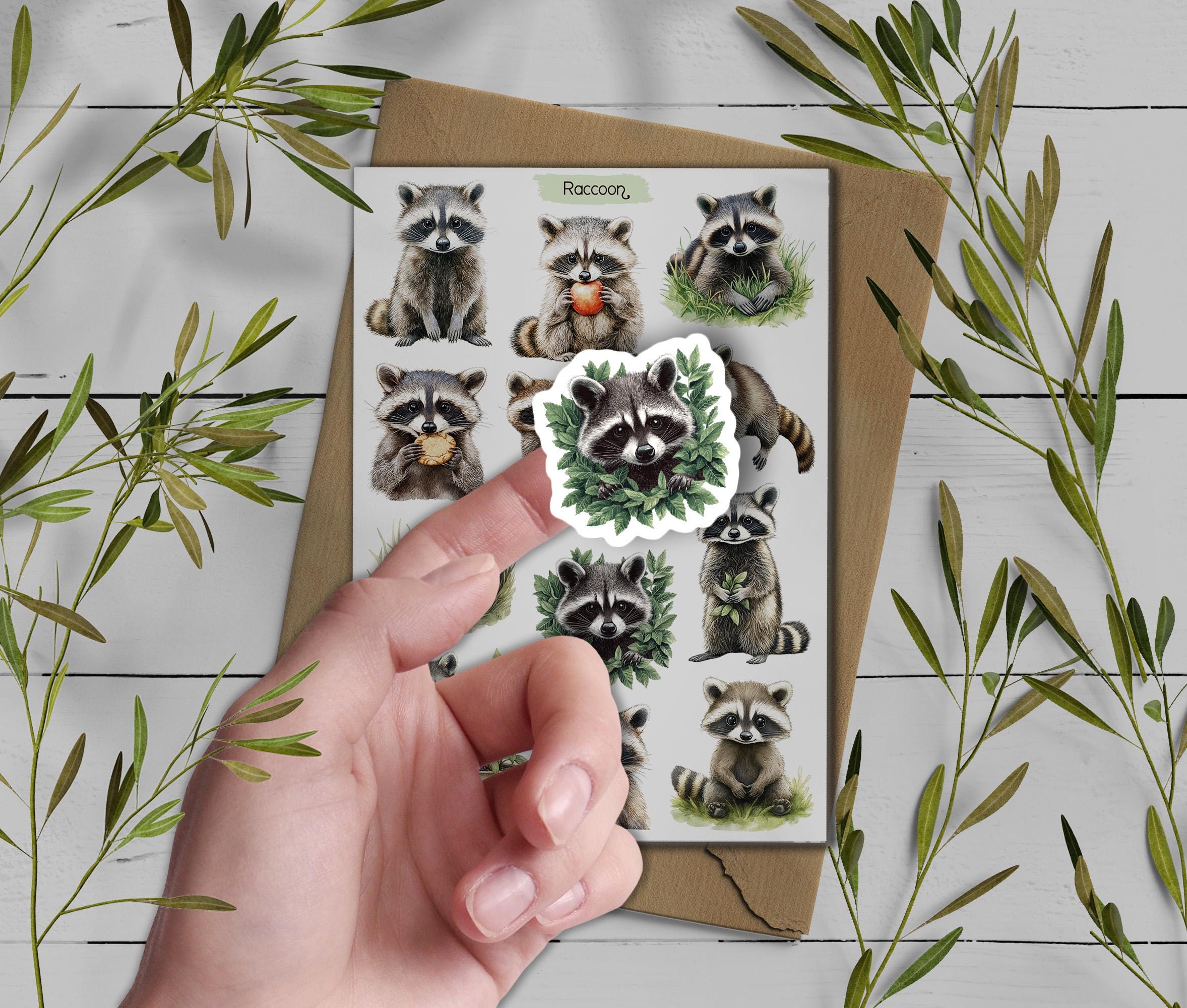 Raccoon Stickers