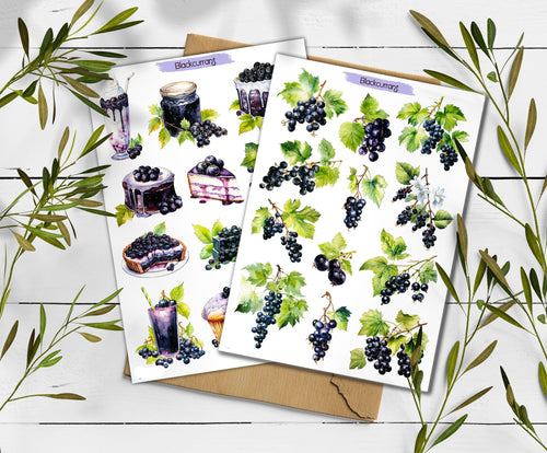Blackcurrant Stickers