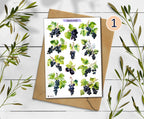Blackcurrant Stickers