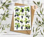 Blackcurrant Stickers