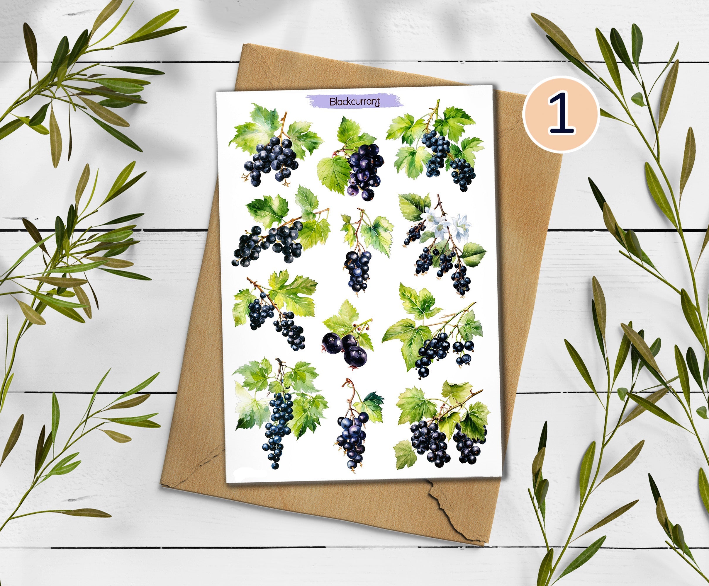 Blackcurrant Stickers