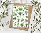 Clover sickers on a wooden surface with green leaves.