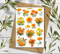 Marigold Stickers. 00181