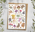 Mushroom Stickers 00043
